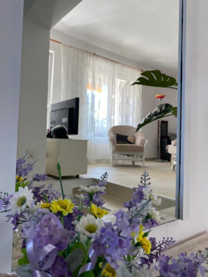Apartment Lavanda 莫拉特岛 外观 照片